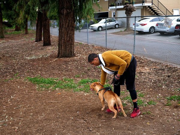 L'éclat des profondeurs : découvrir les secrets de la bioluminescence chez les créatures marines