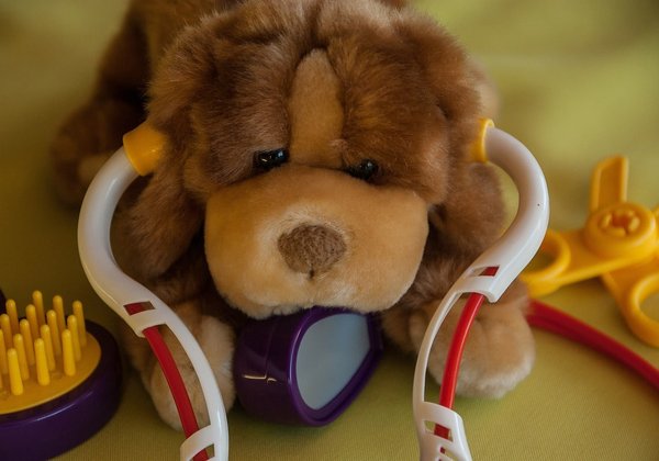 Les races de petits chiens les plus adorables et adaptées à votre mode de vie